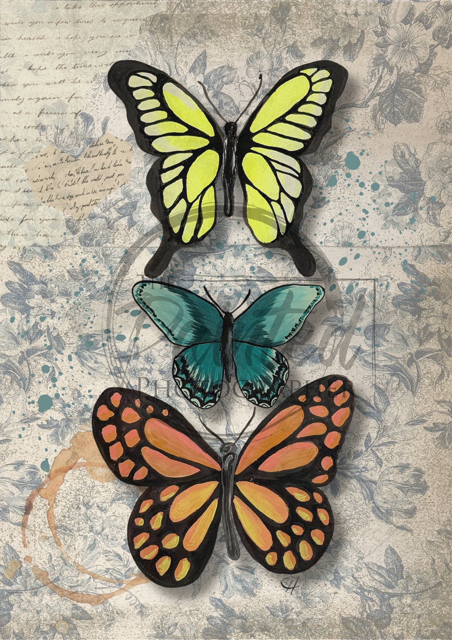 Butterfly Trio - Connie's Rice Paper