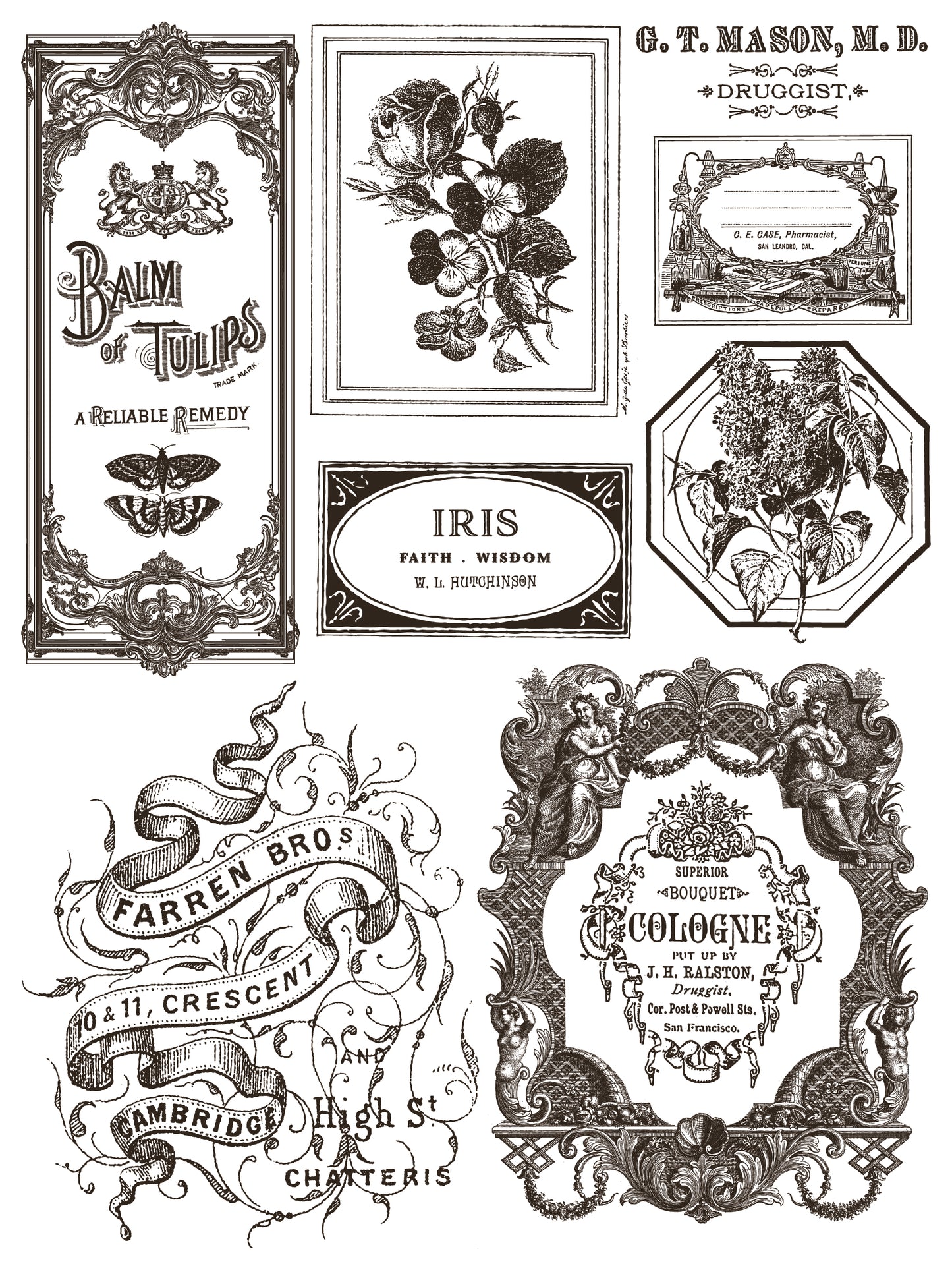 IOD Floriography Paint Inlay