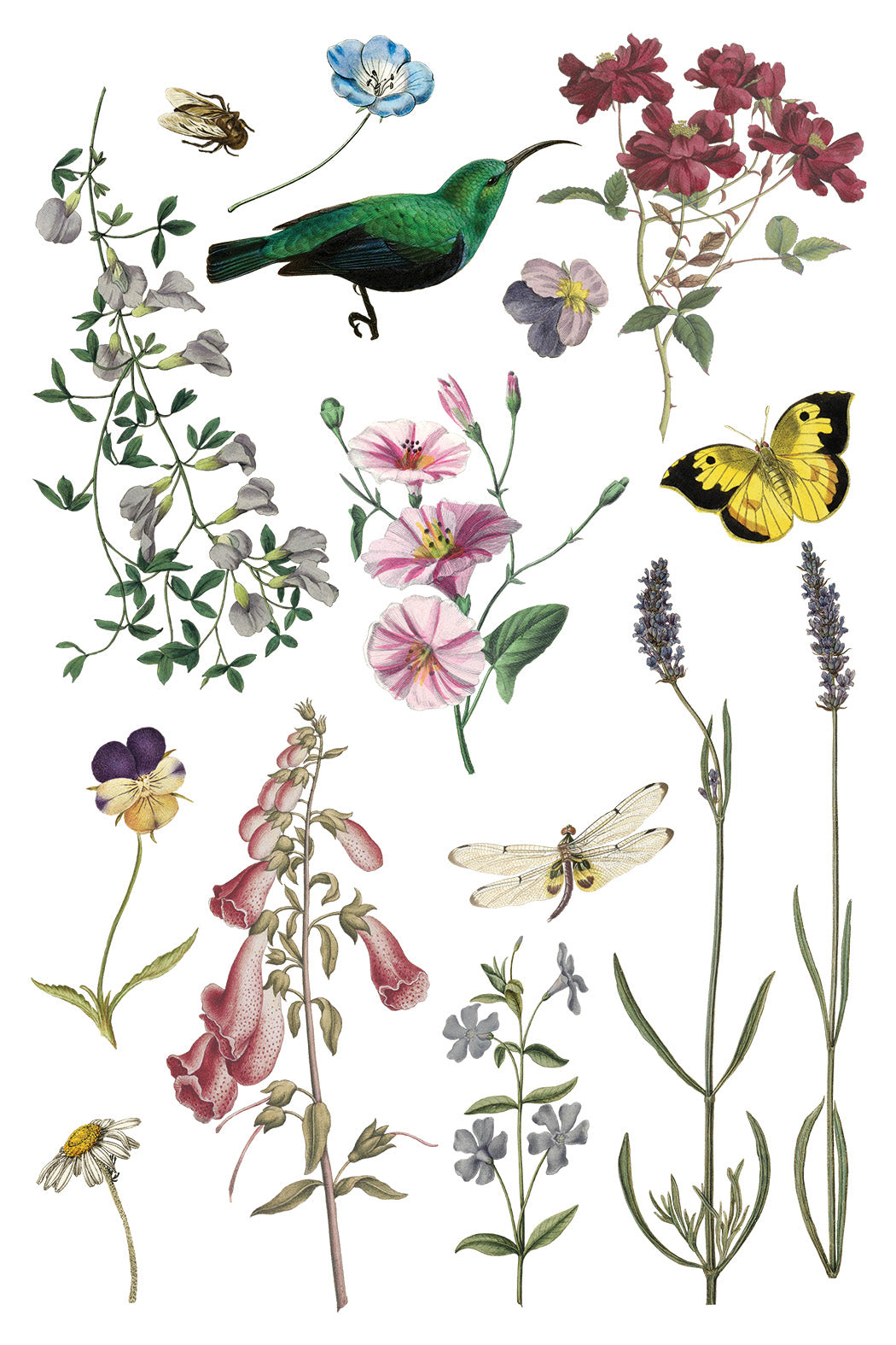 Wilde Bloemen Transfer