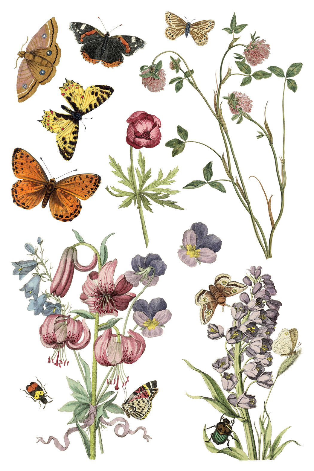 Wilde Bloemen Transfer