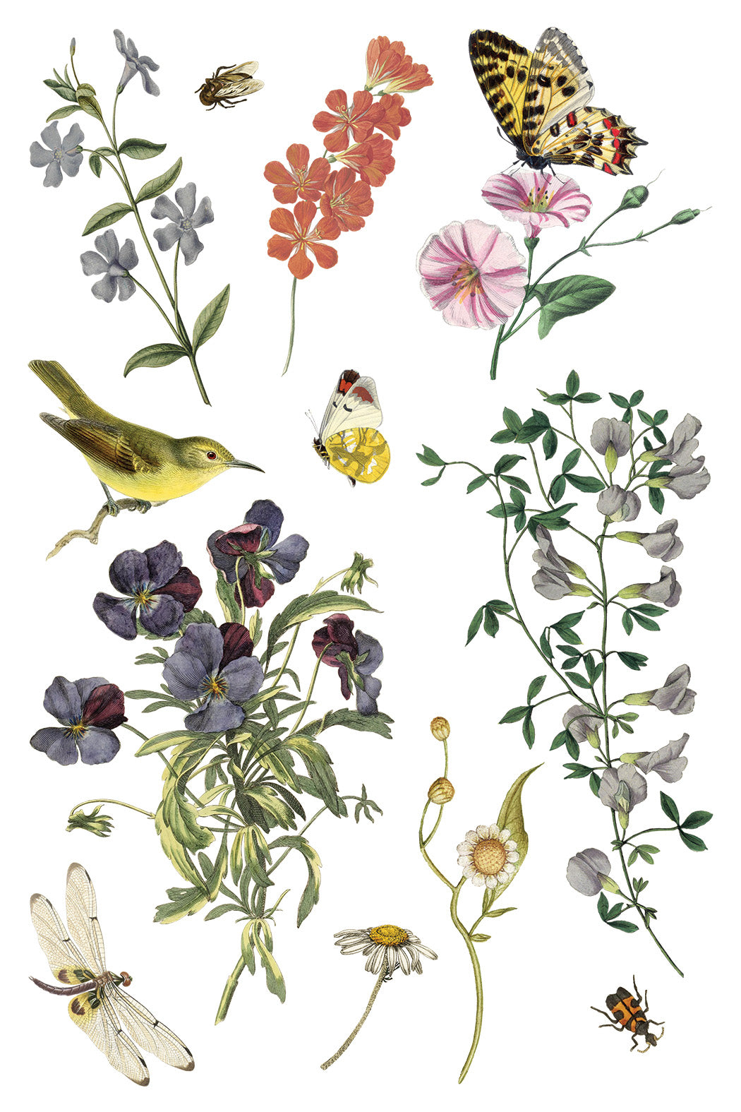 Wilde Bloemen Transfer