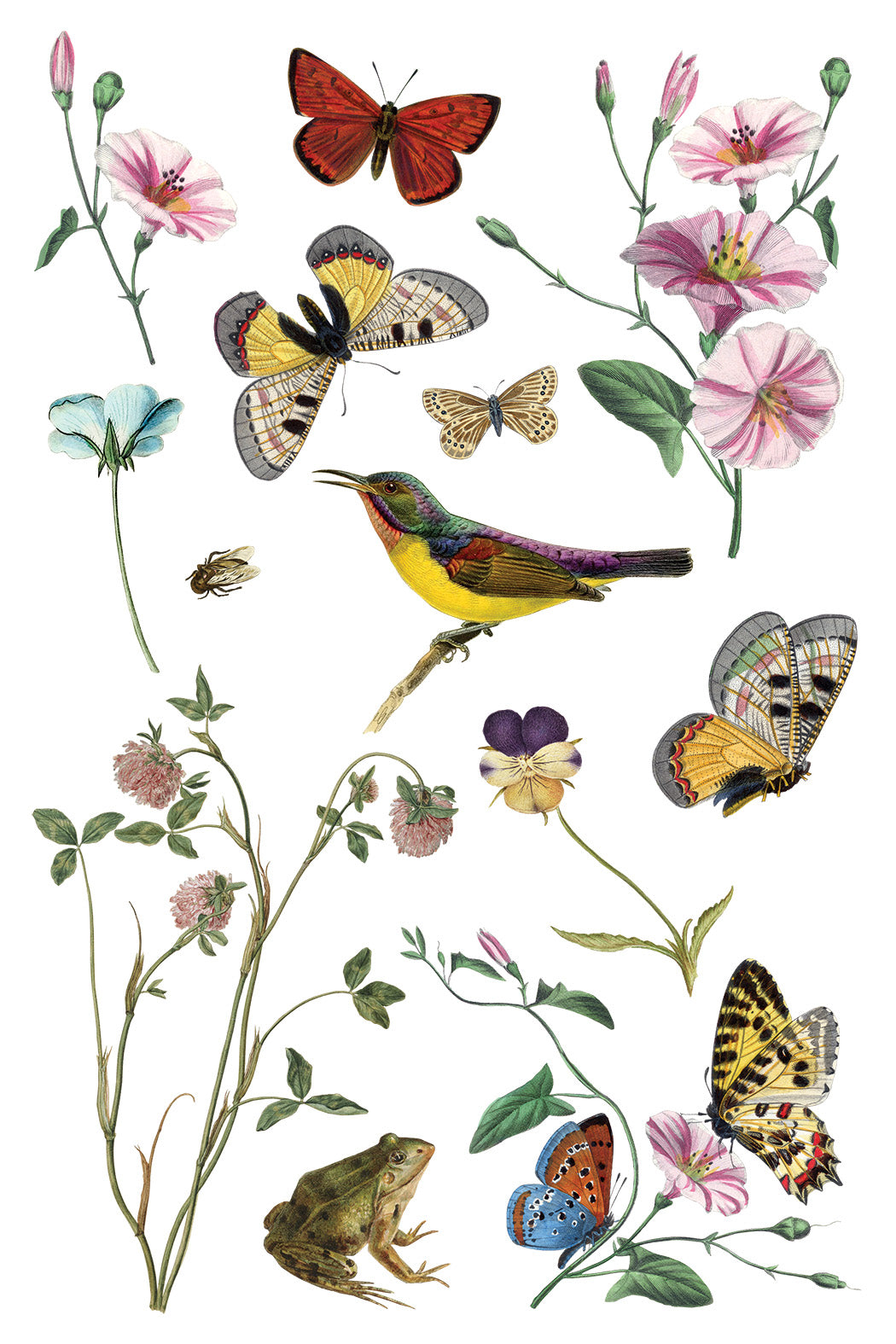 Wilde Bloemen Transfer