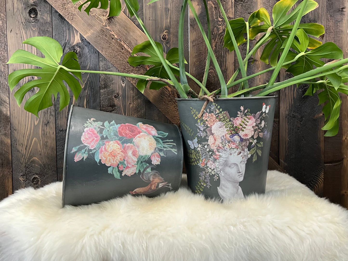 Saint Ouen IOD Transfer