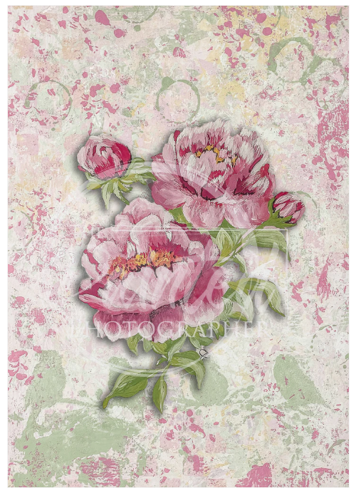 Peony with Pink Background - Connie's Rice Paper