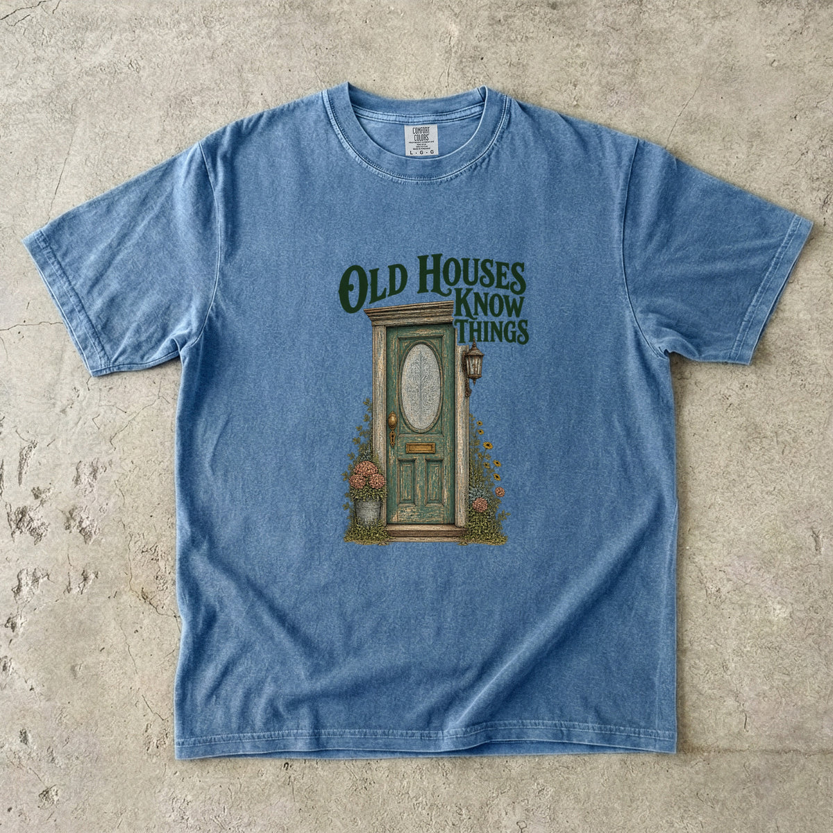 Old Houses Know Things Vintage Tee | Antique Door Shirt | Gift for Old House Lovers