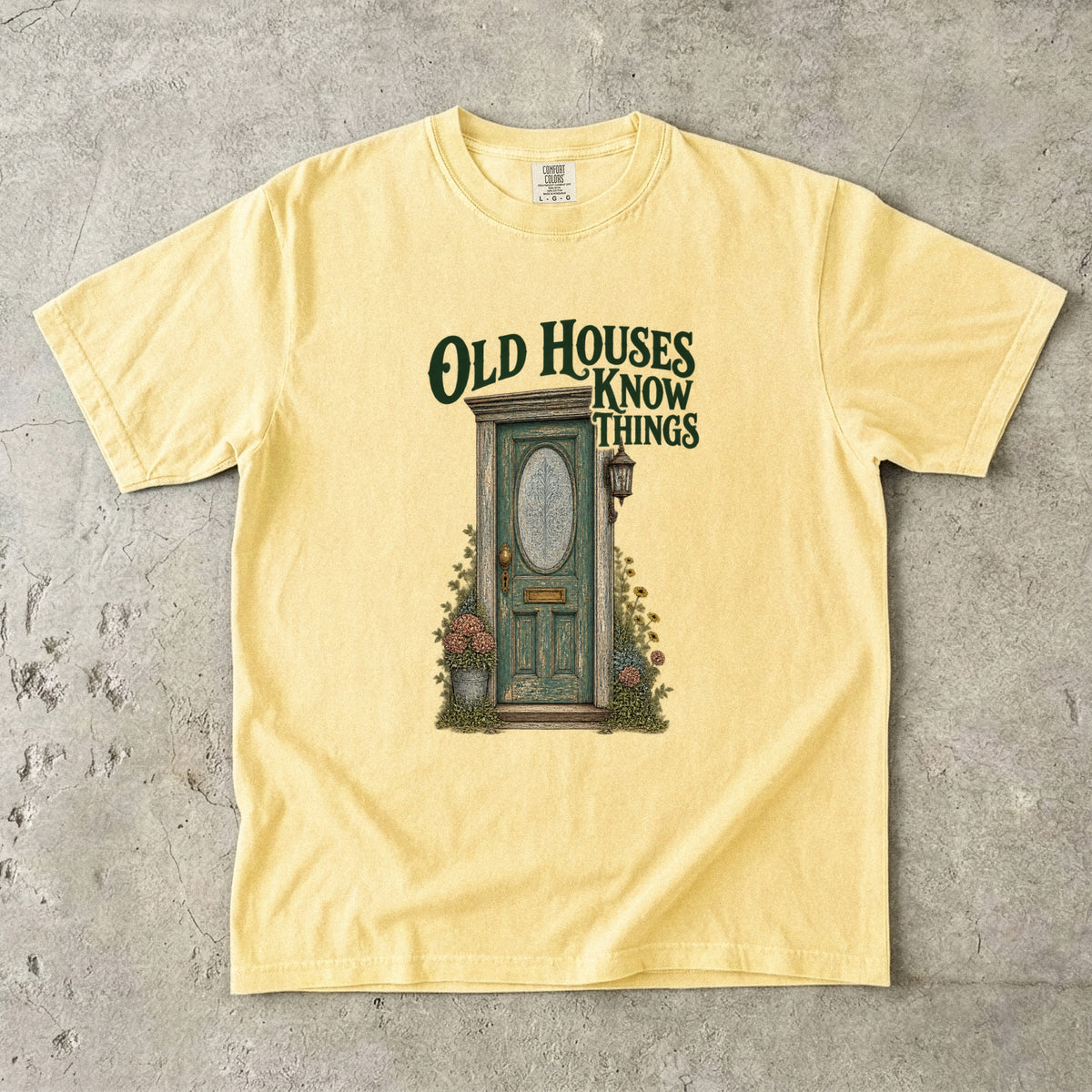 Old Houses Know Things Vintage Tee | Antique Door Shirt | Gift for Old House Lovers