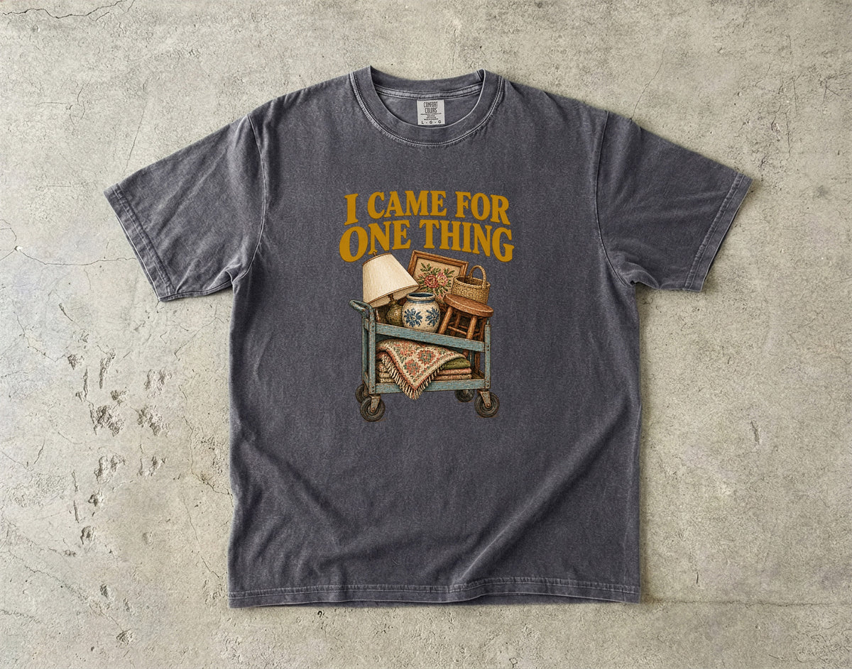 I Came For One Thing Vintage Tee | Thrift Haul Shirt | Gift for Thrift Store Lovers