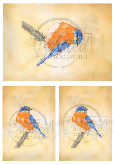 Bluebird Multiple - Connie's Rice Paper