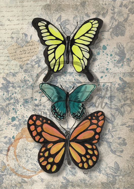 Butterfly Trio - Connie's Rice Paper