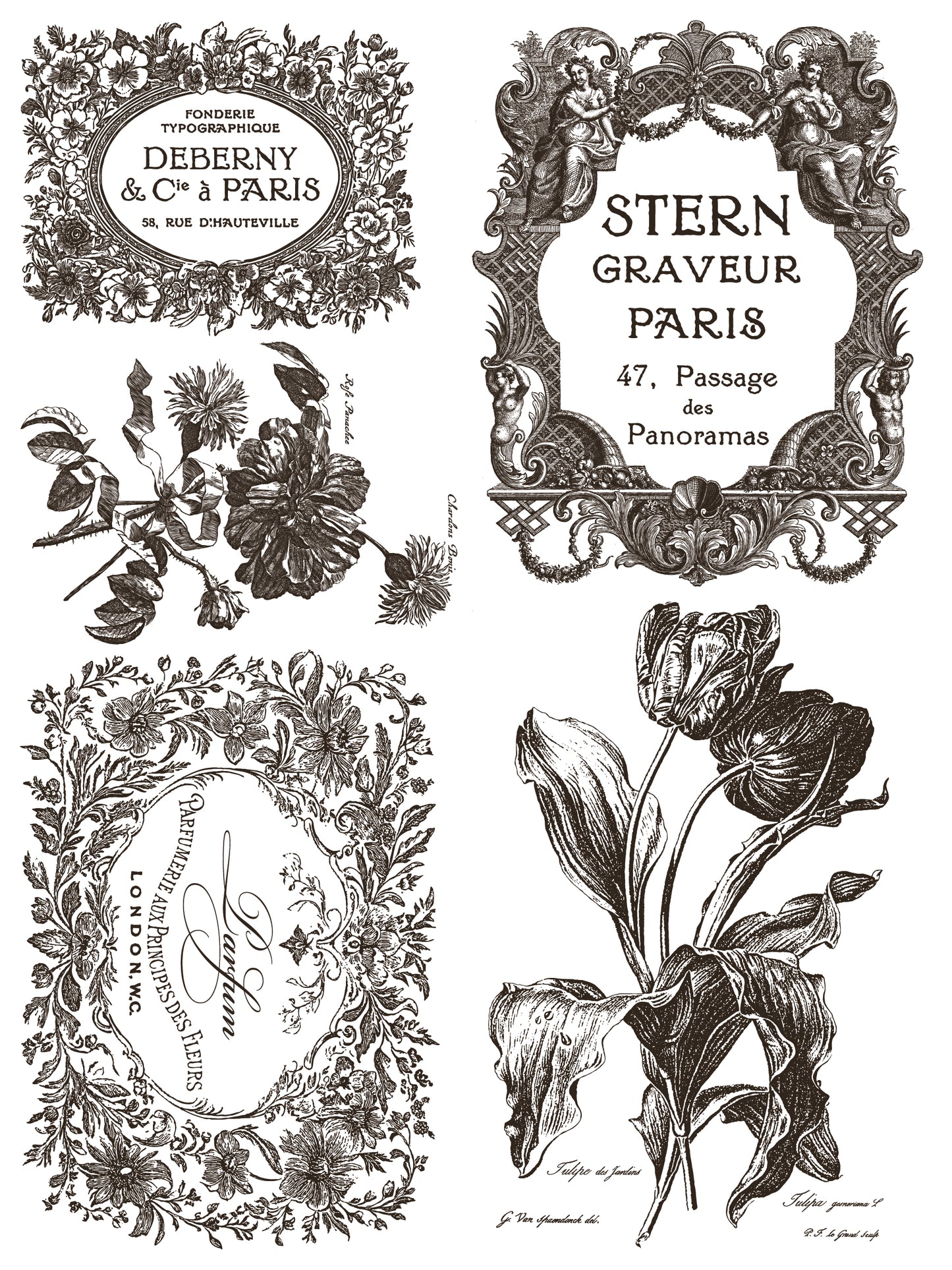 IOD Floriography Paint Inlay