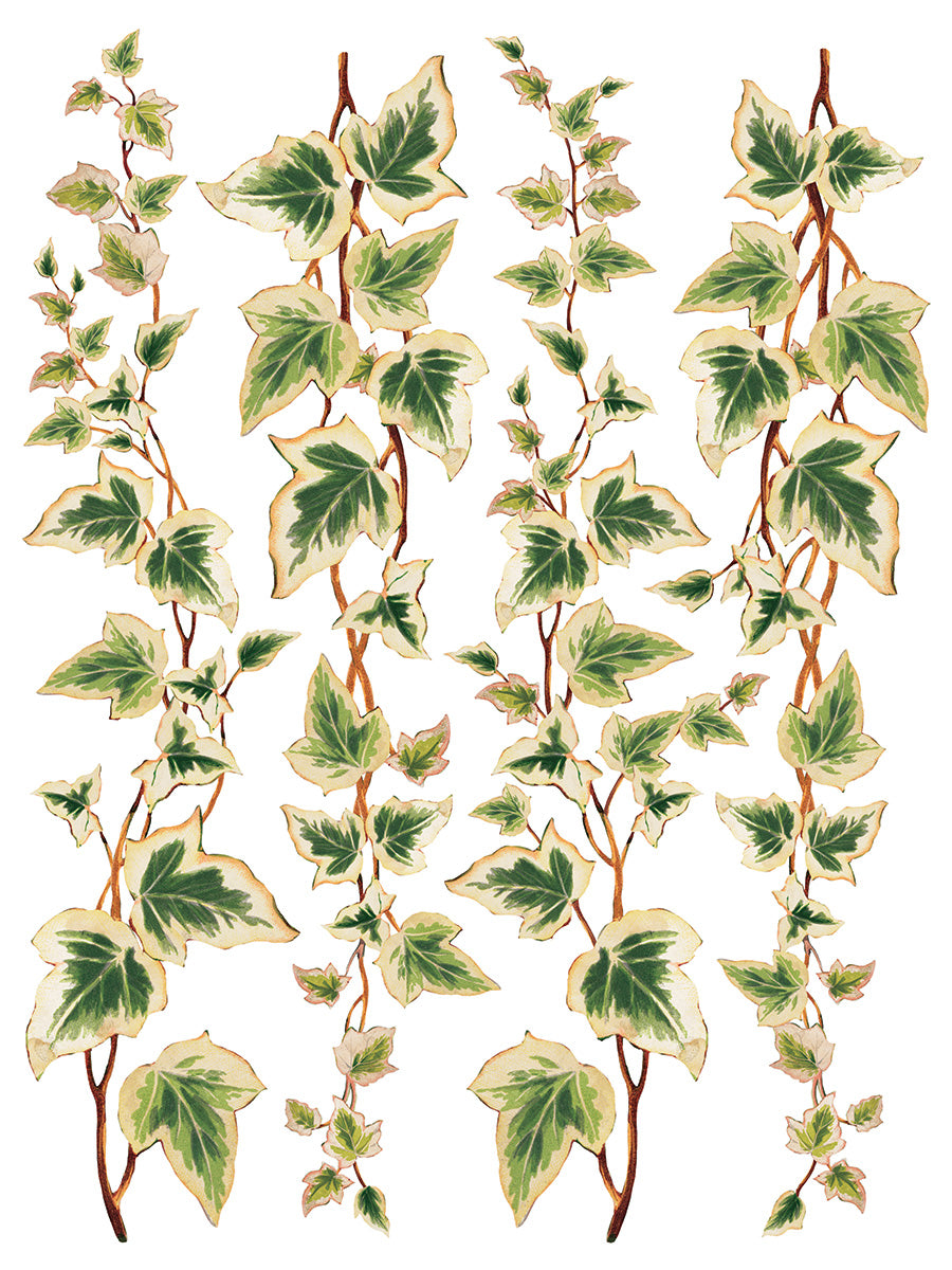 Collage De Fleurs IOD Transfer