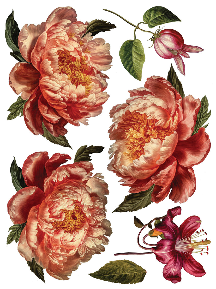 Collage De Fleurs IOD Transfer