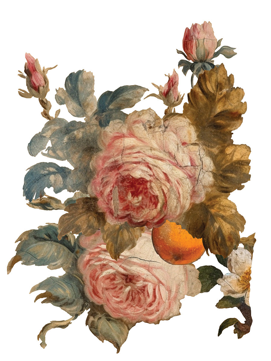 Joie Des Roses IOD Transfer