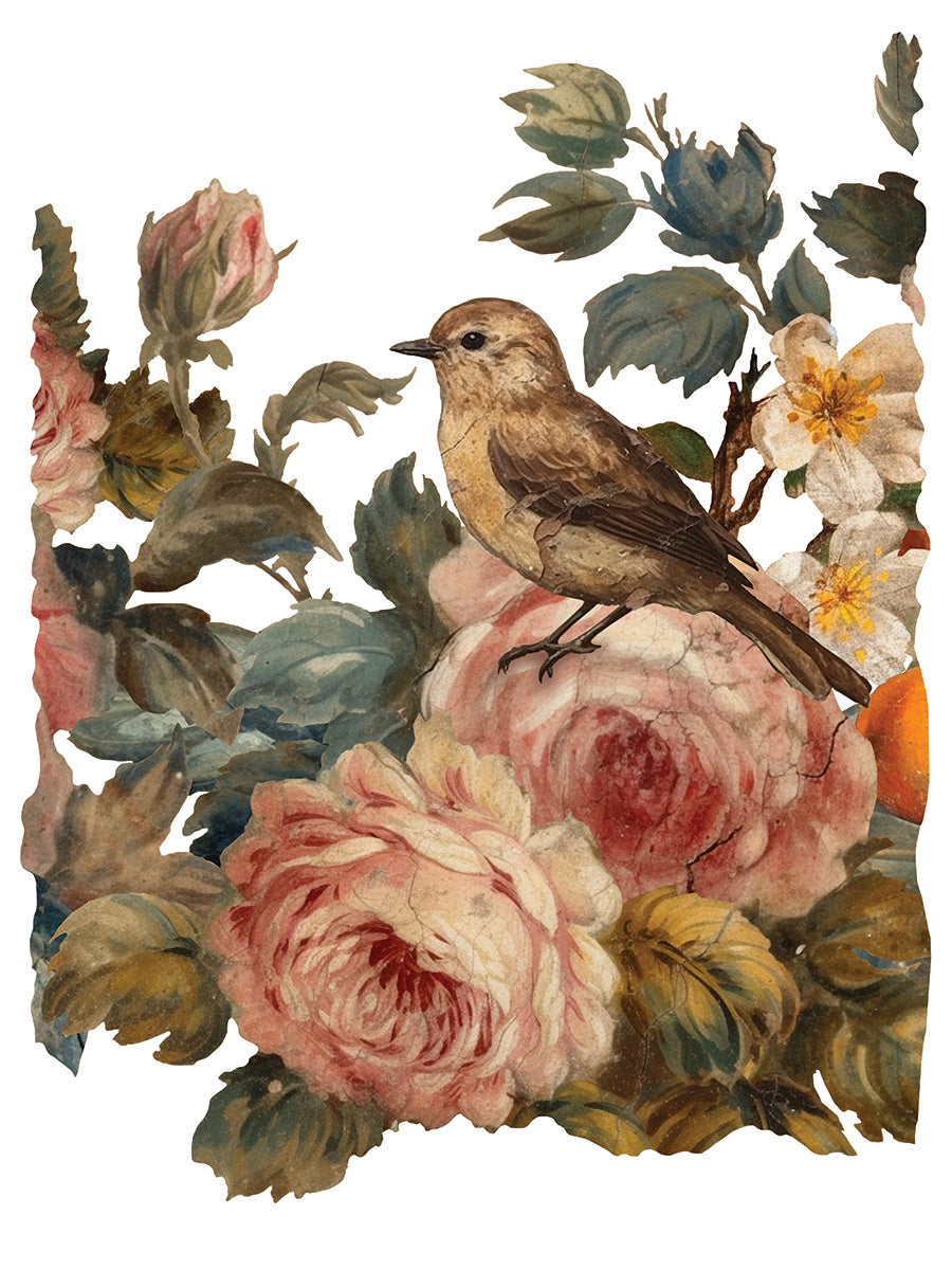 Joie Des Roses IOD Transfer