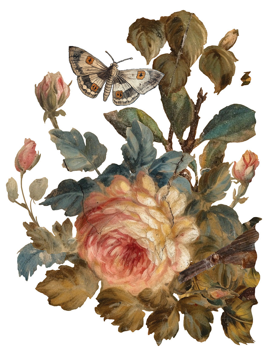 Joie Des Roses IOD Transfer