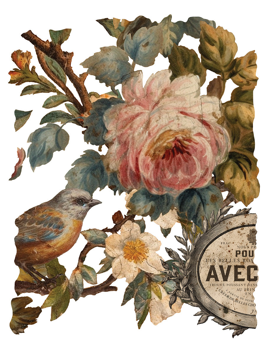 Joie Des Roses IOD Transfer