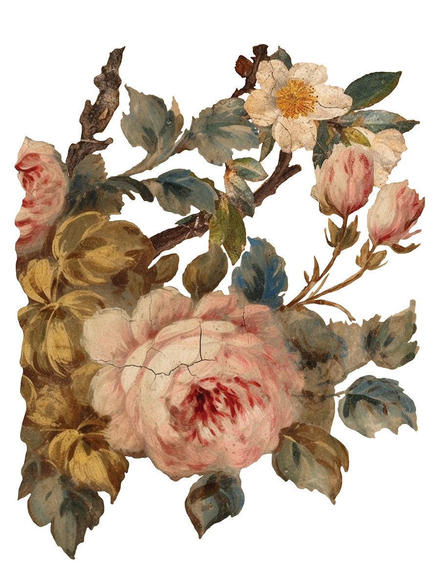 Joie Des Roses IOD Transfer