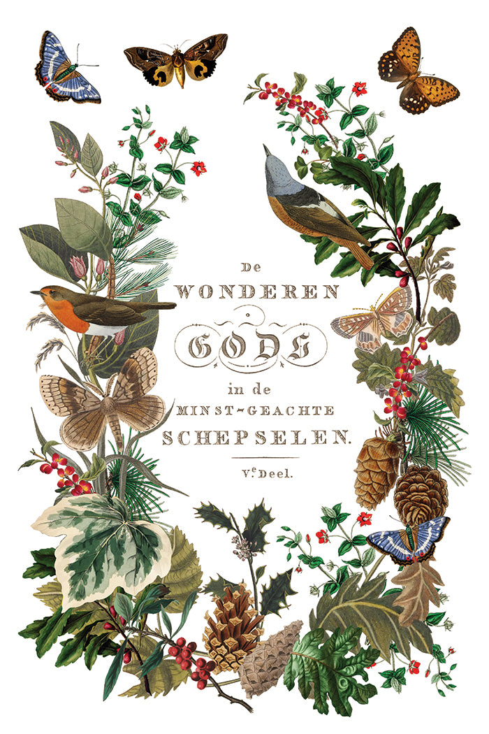 Winter Botanist IOD Transfer