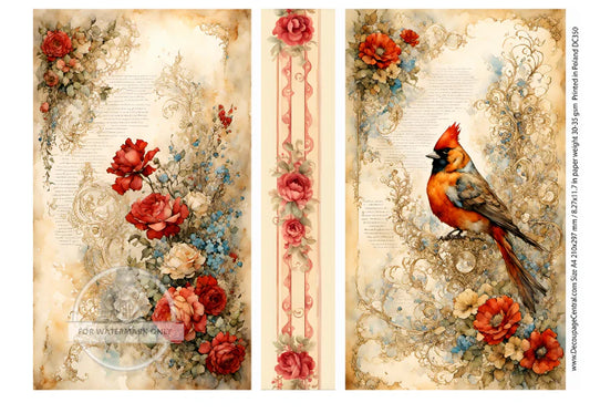 A Cardinals Story Rice Paper