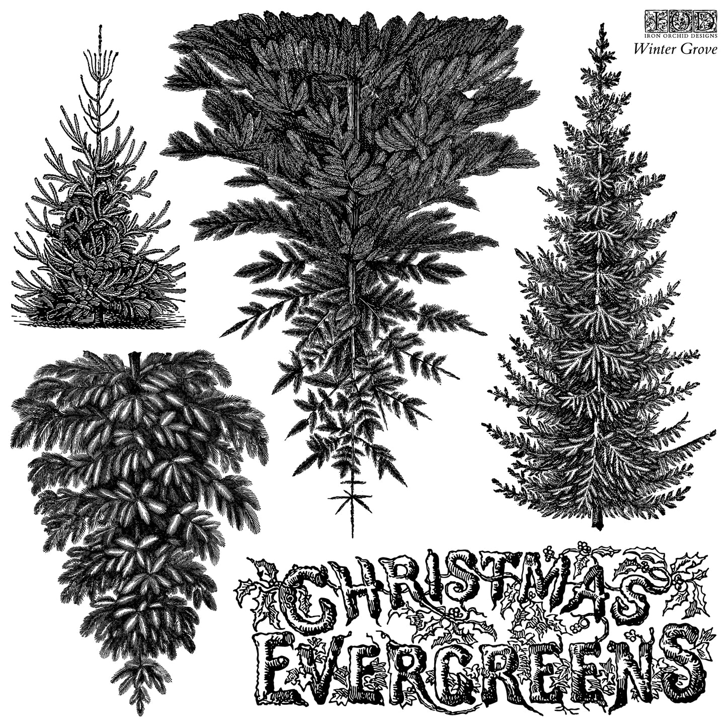 Winter Grove 12x12 IOD Stamp