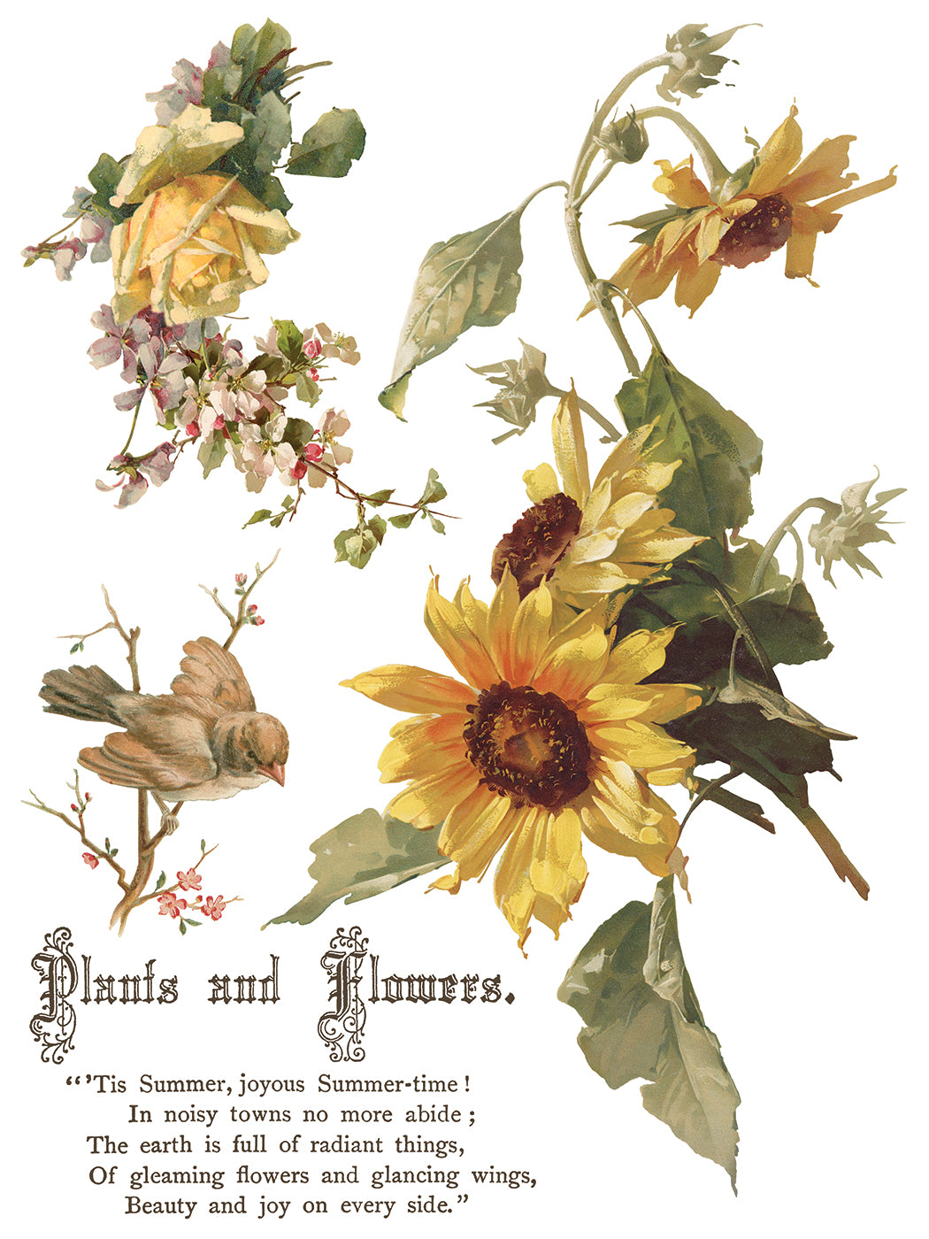 Flowers by the Poets — IOD Transfer 12x16 Full Color Transfer Set