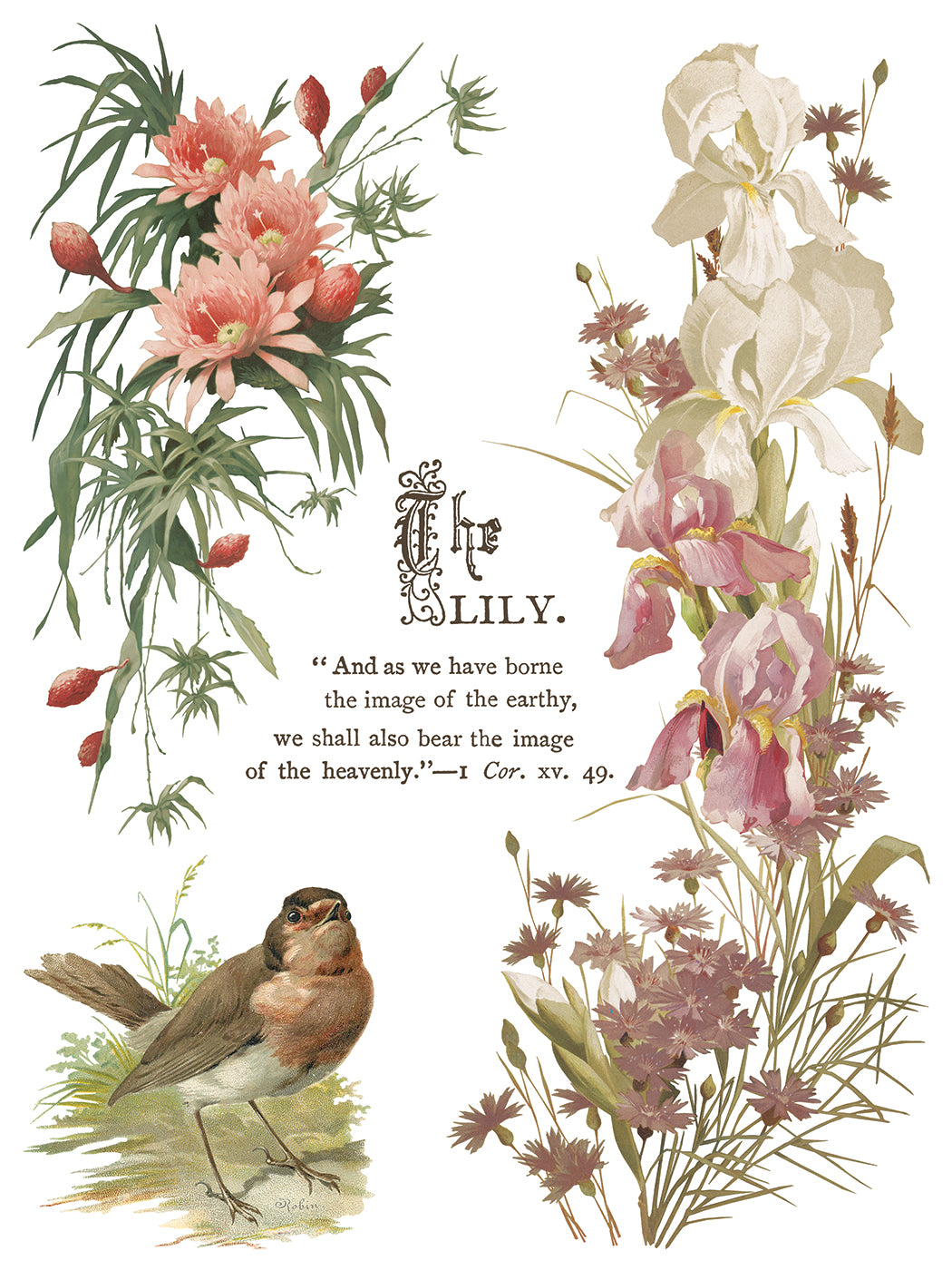 Flowers by the Poets — IOD Transfer 12x16 Full Color Transfer Set