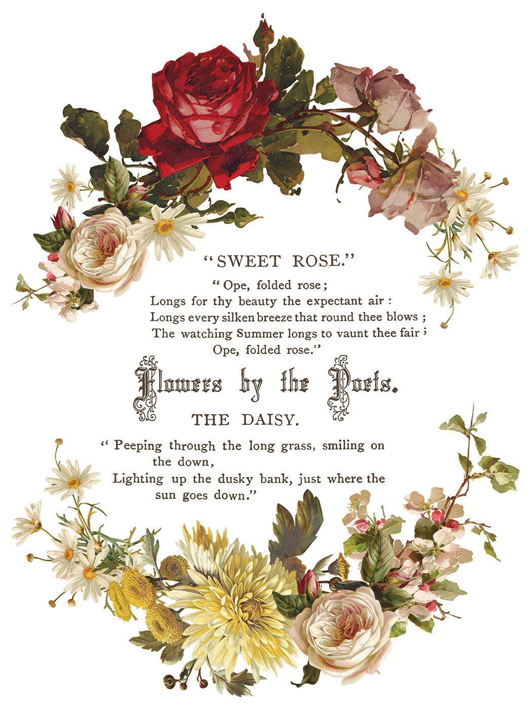 Flowers by the Poets — IOD Transfer 12x16 Full Color Transfer Set