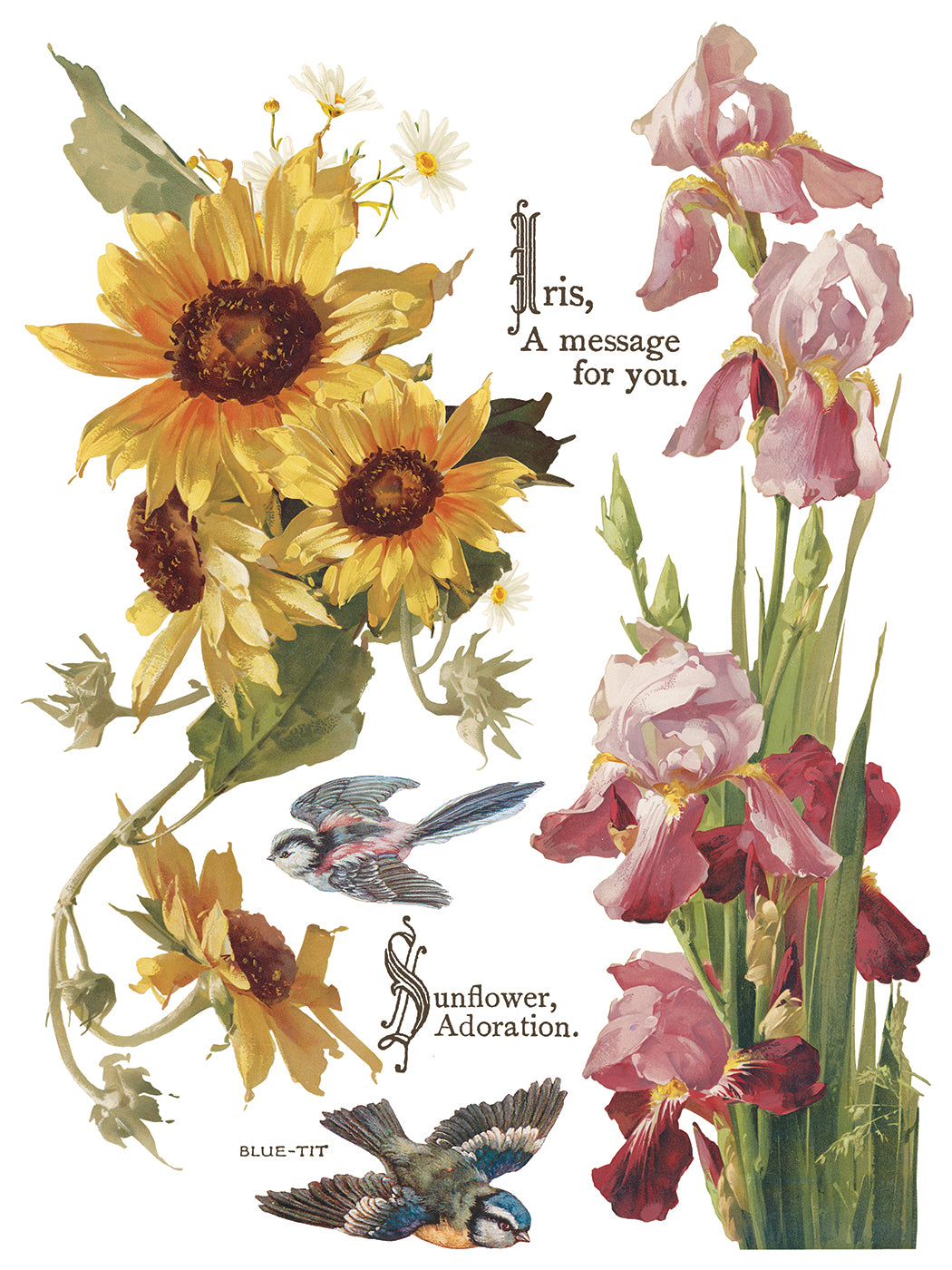 Flowers by the Poets — IOD Transfer 12x16 Full Color Transfer Set