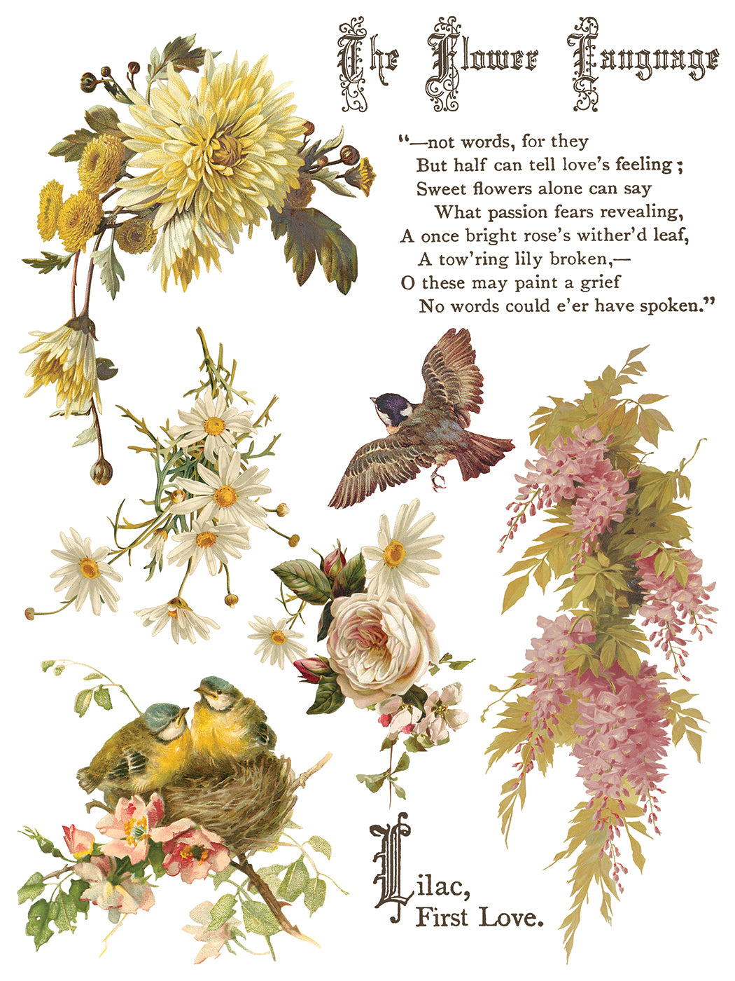 Flowers by the Poets — IOD Transfer 12x16 Full Color Transfer Set