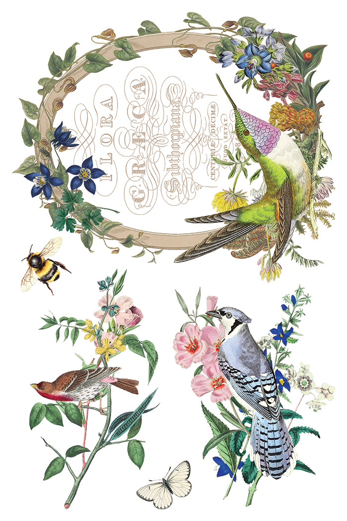 Flora Greca IOD Transfer