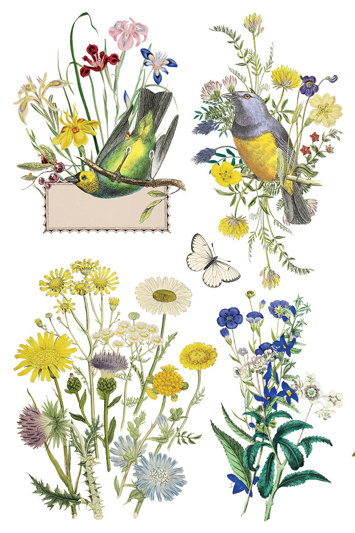 Flora Greca IOD Transfer