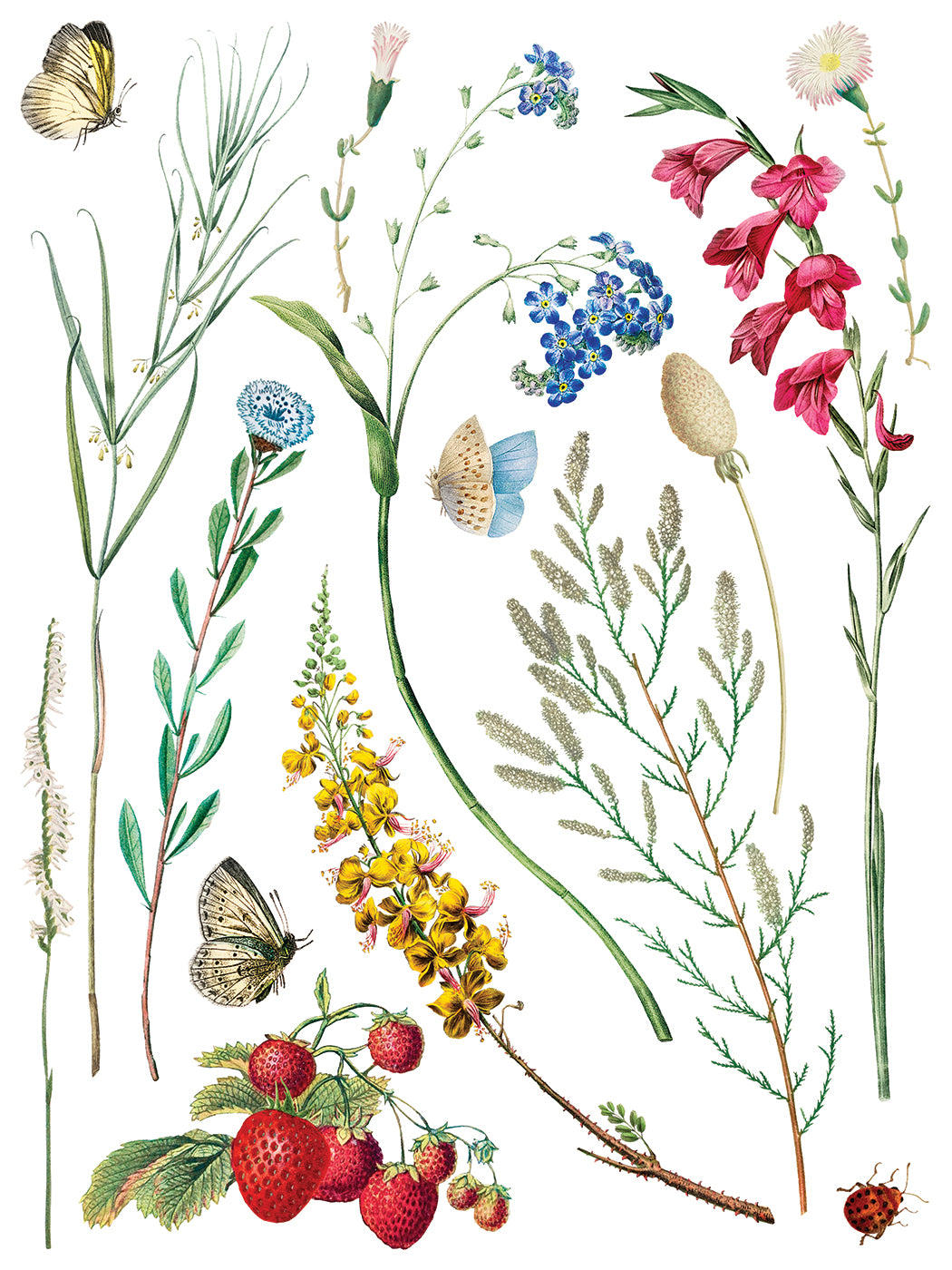 Marché des Fleurs — IOD Transfer 12x16 Full Color Transfer Set
