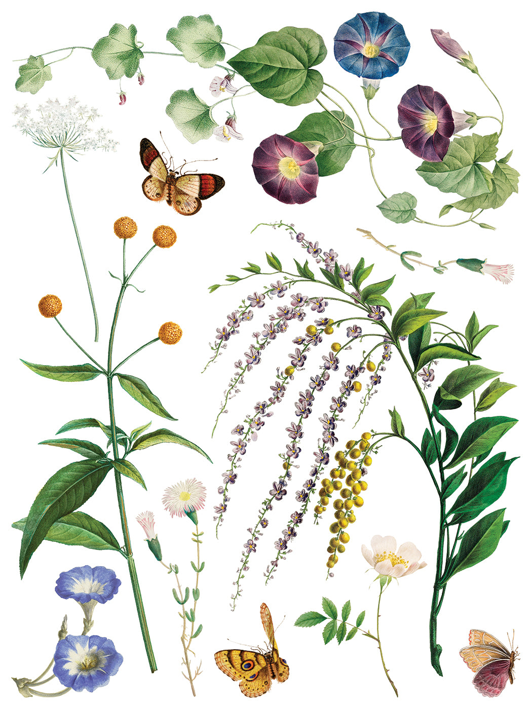 Marché des Fleurs — IOD Transfer 12x16 Full Color Transfer Set