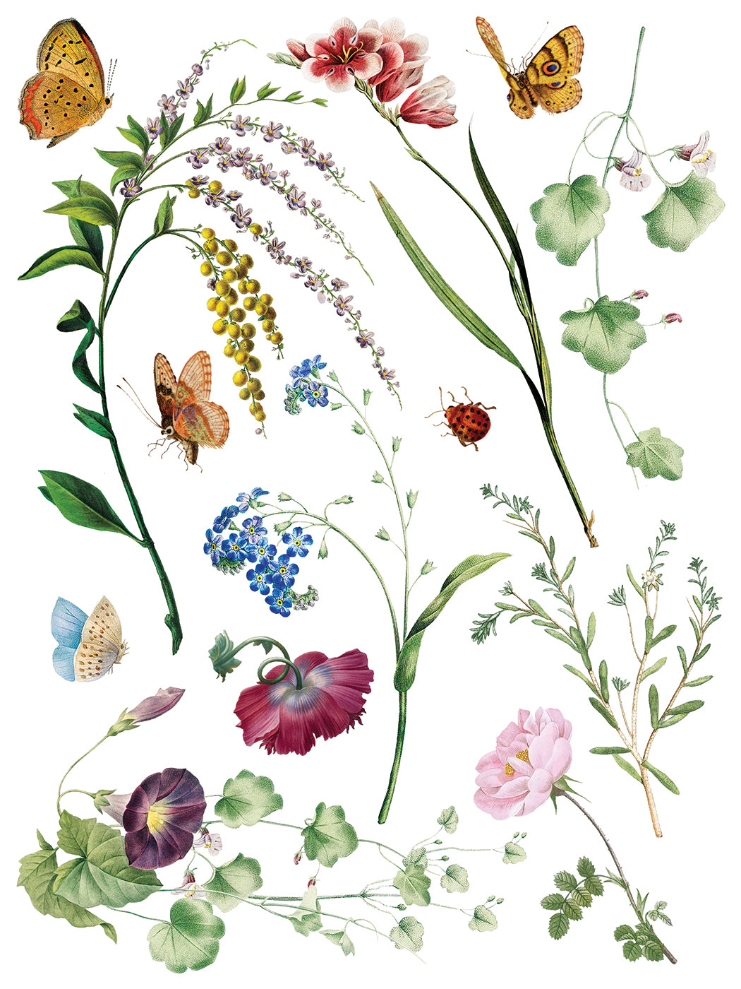 Marché des Fleurs — IOD Transfer 12x16 Full Color Transfer Set