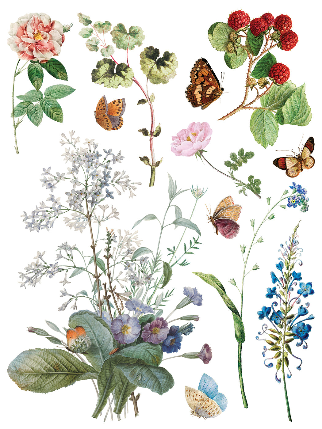 Marché des Fleurs — IOD Transfer 12x16 Full Color Transfer Set