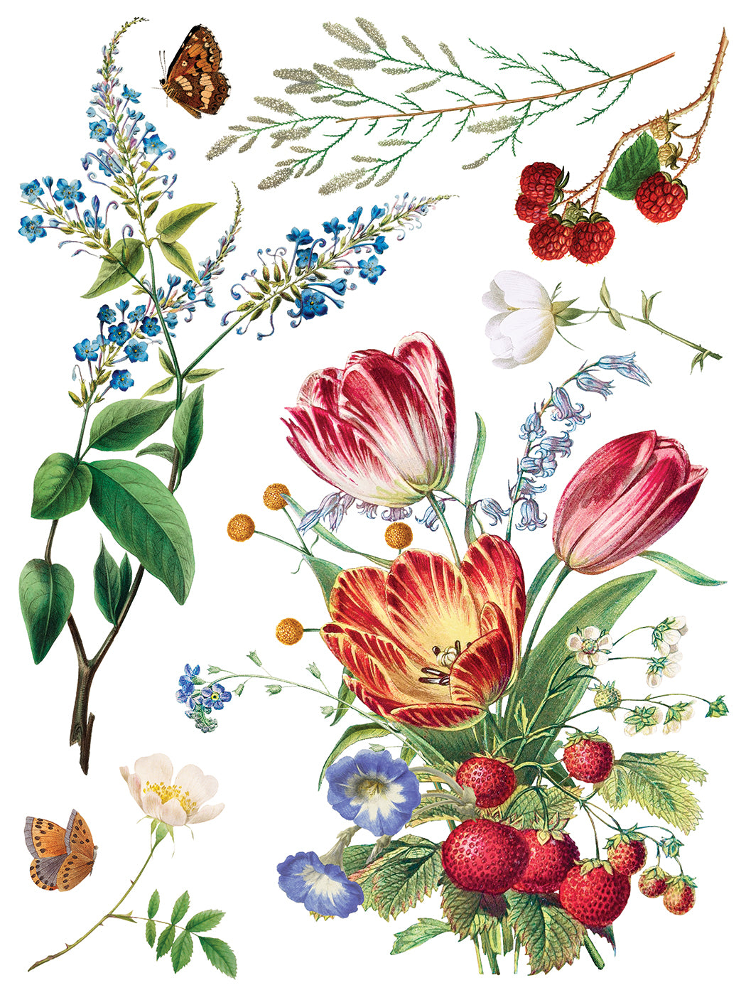 Marché des Fleurs — IOD Transfer 12x16 Full Color Transfer Set
