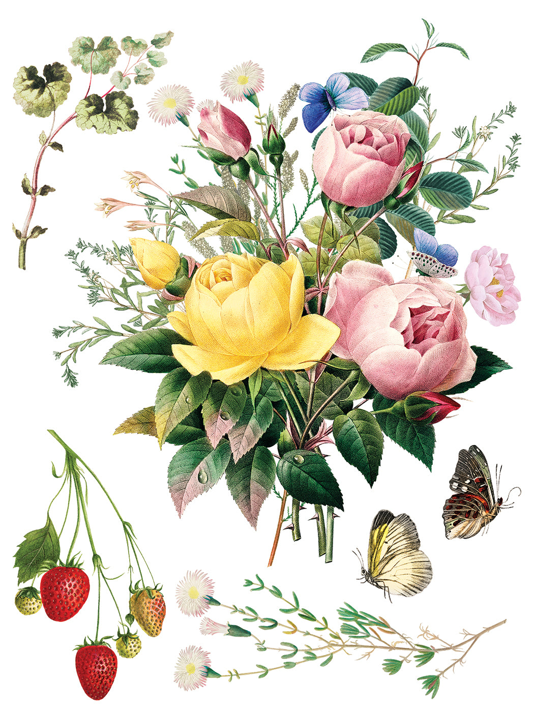 Marché des Fleurs — IOD Transfer 12x16 Full Color Transfer Set