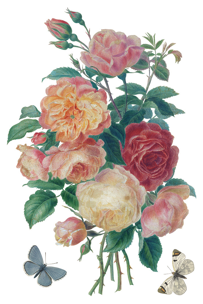 Saint Ouen IOD Transfer