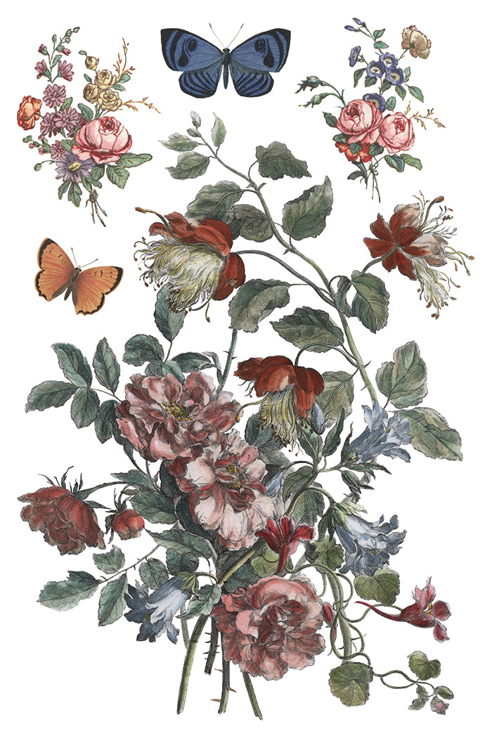 Saint Ouen IOD Transfer