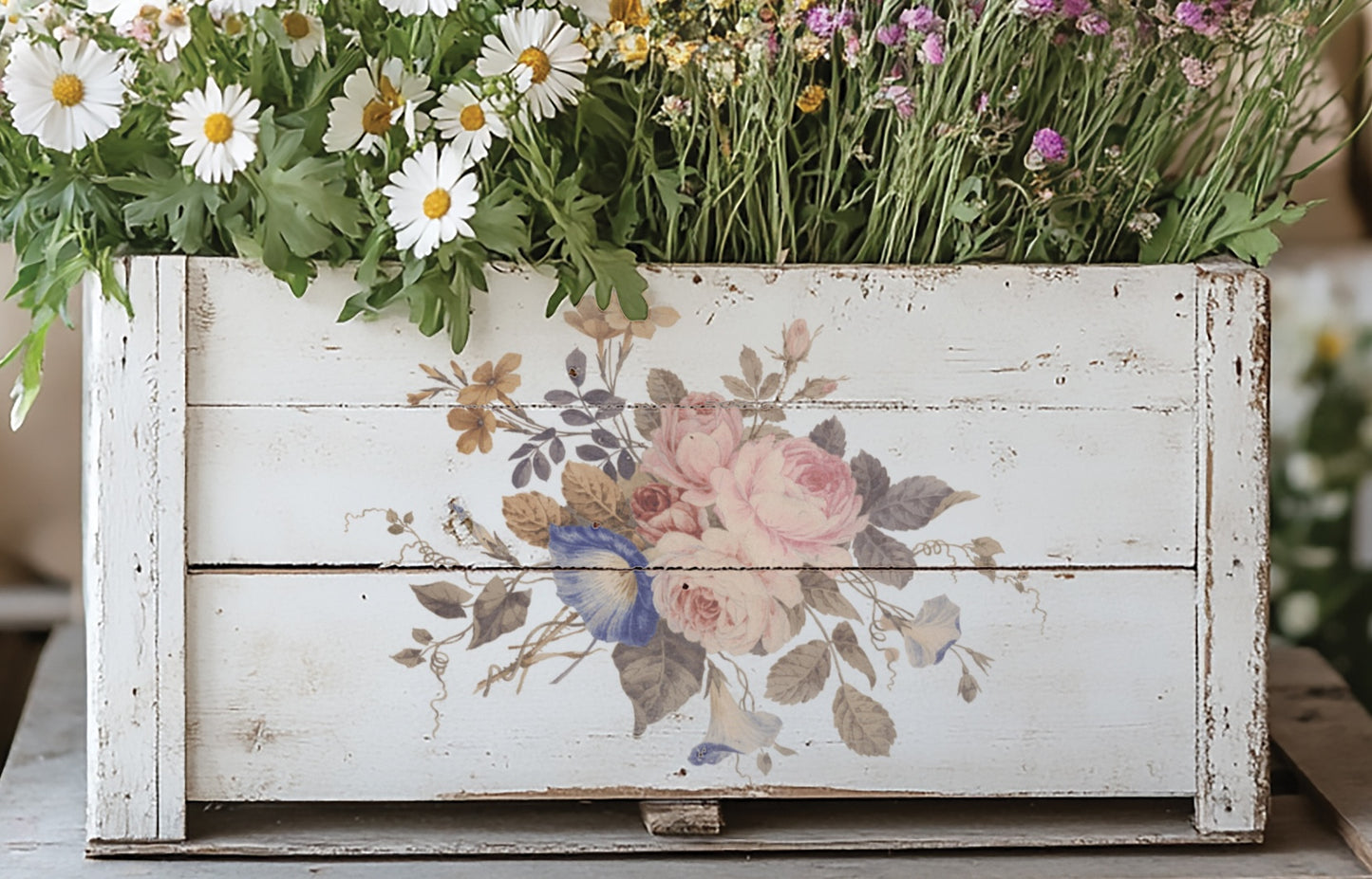 Saint Ouen IOD Transfer