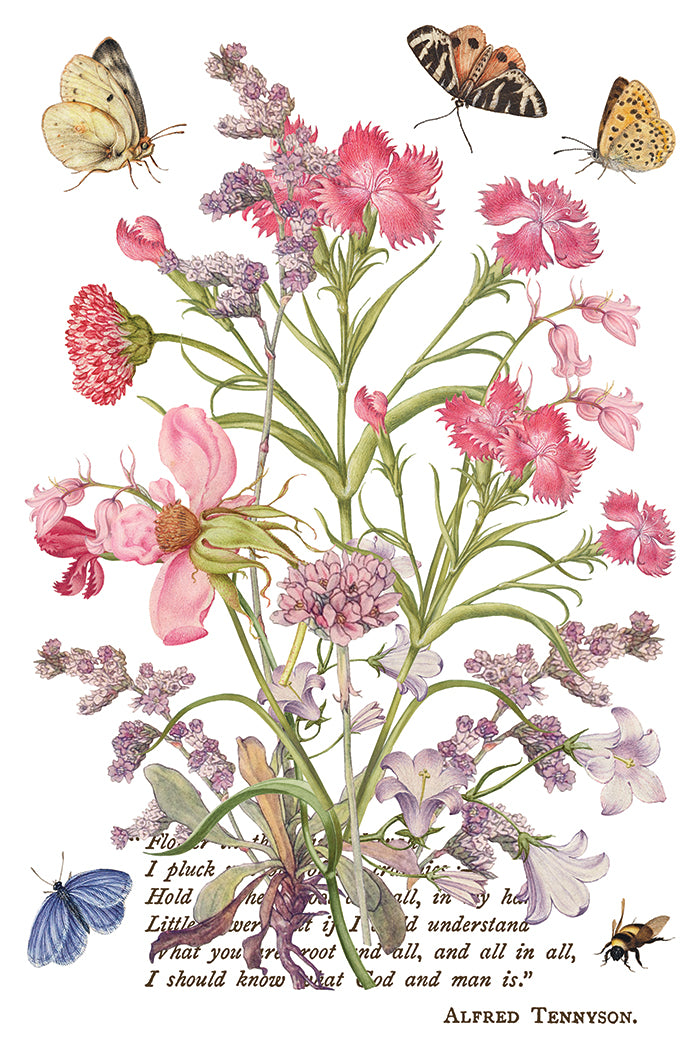 Primrose Isle — IOD Transfer 8x12 Full Color Transfer Set