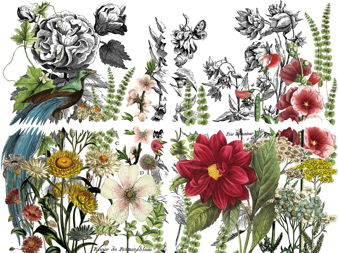 IOD Midnight Garden Transfer