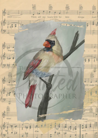 Mrs. Cardinal with Sheet Music – Connie Lines and Designs Rice Paper