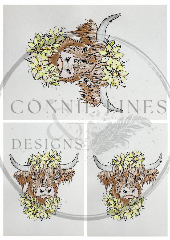 Multiple Highland Cow - Franny - Connie's Rice Paper