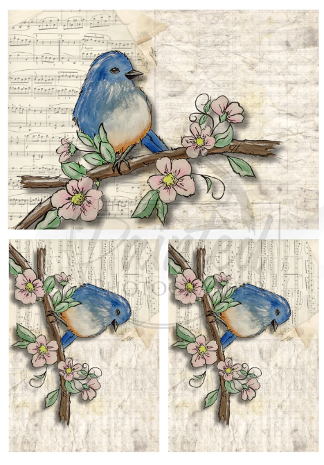 Multiple Moment Of Happiness with Music- Connie's Rice Paper