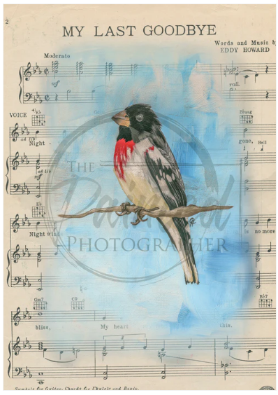 Grosbeak with Music - Connie's Rice Paper