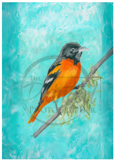 Oriole - Connie's Rice Paper