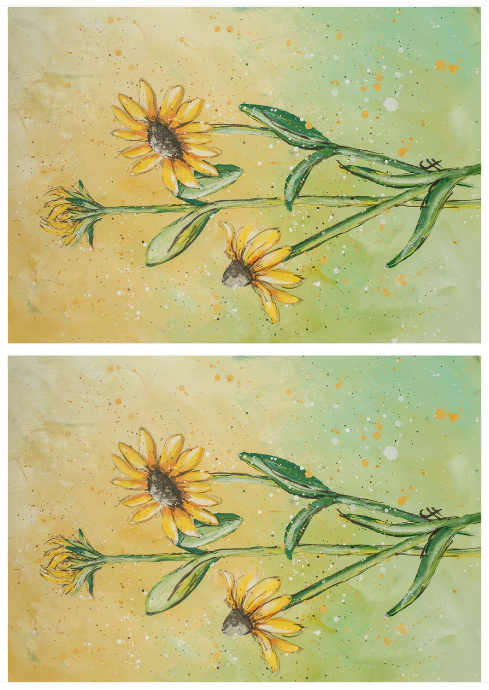 Show Off 5x7's - Connie's Rice Paper