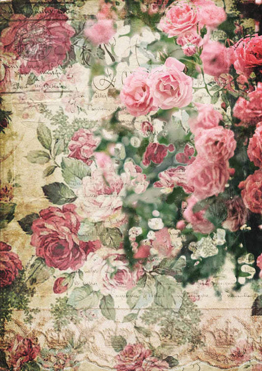 Decoupage Queen Splash of Roses