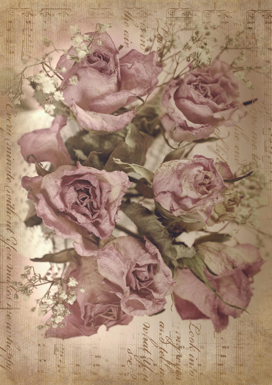 Sepia Rose Song - A1 Rice Decoupage Paper